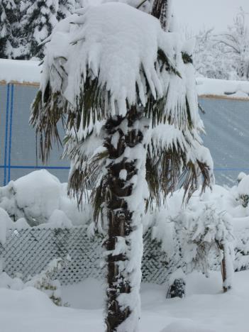 Schnee 010.jpg   29kb   26.03.2021 22:29:26